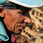 Zuckerrohrschneider in Inhumas (Goiás). Ein junger Arbeiter schafft bis zu 12 Tonnen am Tag, aber selbst Frauen oder über 60-Jährige Männer sehen oft keine Alternative zur Knochenarbeit.
