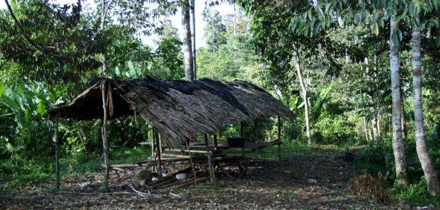 Verlassenes Orang Rimba Dorf: Derzeit befindet sich die Gruppe im "Melangun", der Trauerzeit.