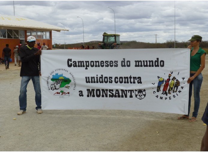 Campesinos besetzen Monsantoflächen in Brasilien