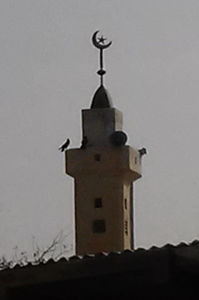 Moschee im Kleinstadtzentrum Goz Beîda