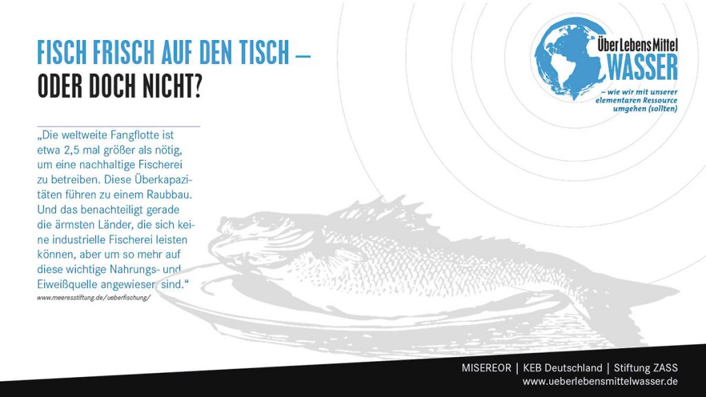 fisch-frisch-auf-den-tisch-wasser-grafik-4
