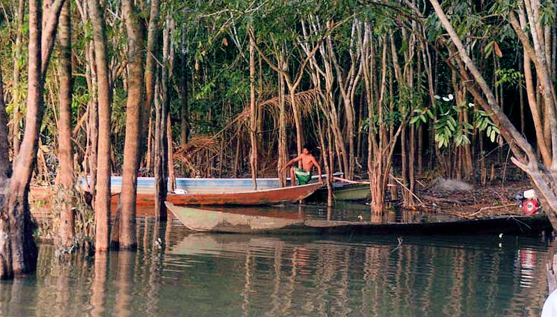 Anlegestelle in einer geschützten kleinen Bucht, Dorf der Mundurukú Sawre Jaybu oder "Dorf Juarez" (benannt nach dem Cazique Juarez) am Rio Tapajos, Distrikt Itaituba, Bundesstaat Pará, Brasilien; Foto: Florian Kopp / Misereor