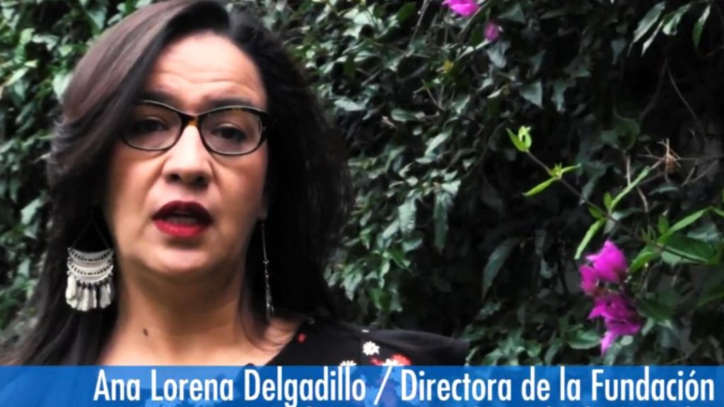 Ana Lorena Delgadillo, Leiterin der MISEREOR-Partnerorganisation Fundación para la Justicia y el Estado Democrátivo de Derecho (FJEDD) weist darauf hin, dass die Abkommen von Seiten der Legislative hätte geprüft und ratifiziert werden müssen.