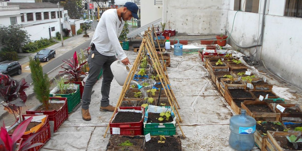 Lima Peru Klimanetzwerk Stadtgarten Urban Gardening
