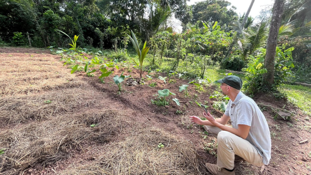 Mann hockt in Sri Lanka vor einem Agroforst-Gemüsegarten