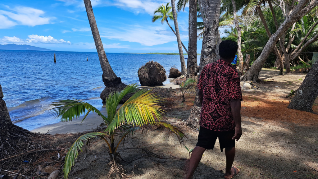 Pazifik: Ein Mann geht unter Palmen den Strand entlang