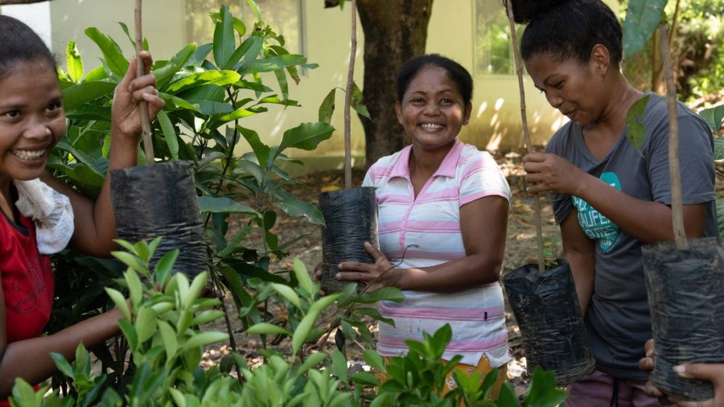 Frauen bereiten Mangobaum-Setzlinge vor © Misereor