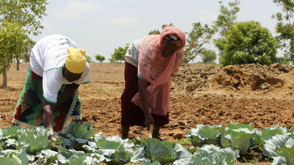 Gemüsebäuerinnen in Burkina Faso
