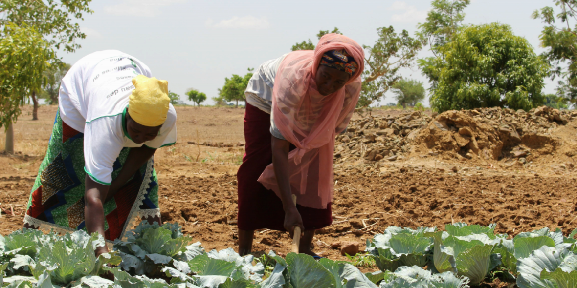 Gemüsebäuerinnen in Burkina Faso